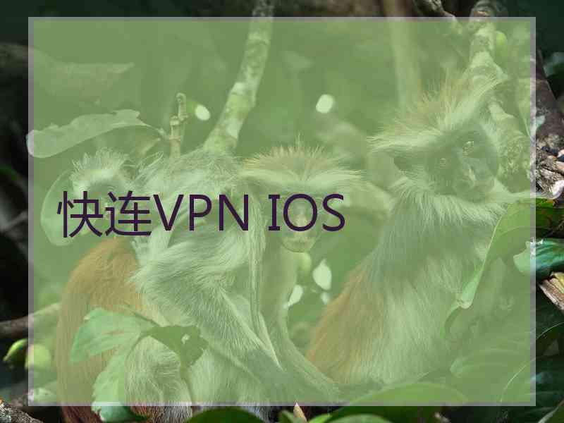 快连VPN IOS