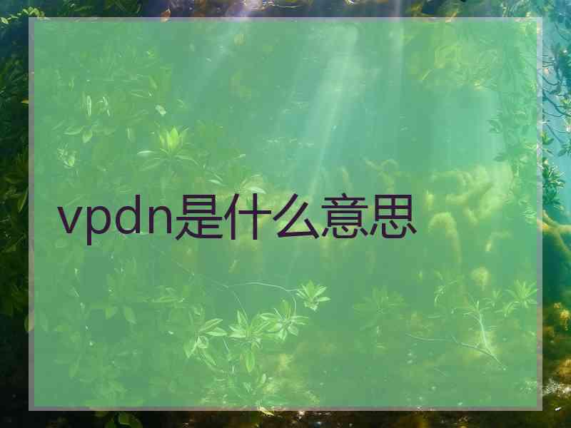 vpdn是什么意思