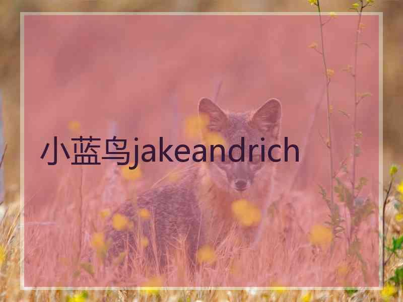 小蓝鸟jakeandrich