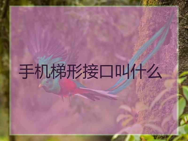 手机梯形接口叫什么