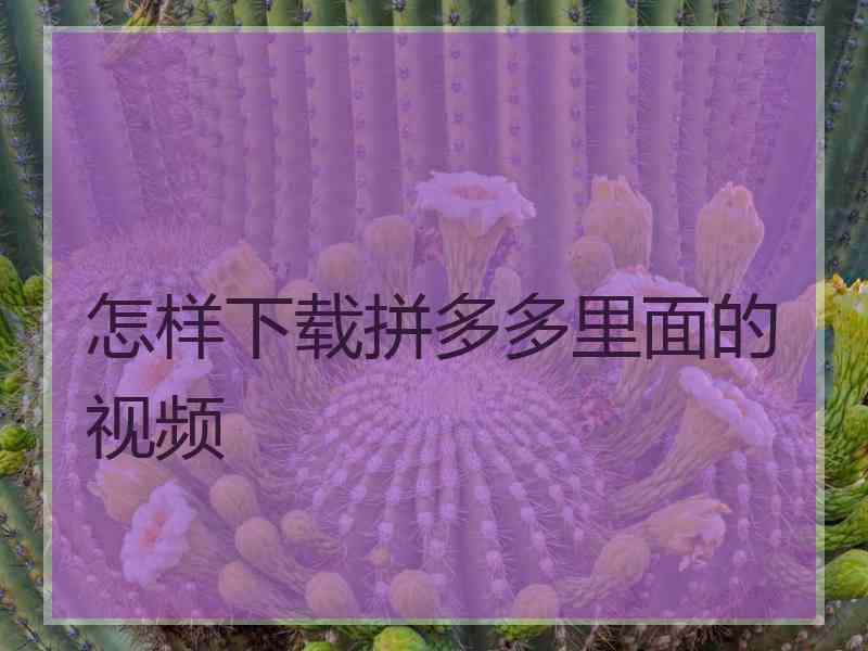 怎样下载拼多多里面的视频