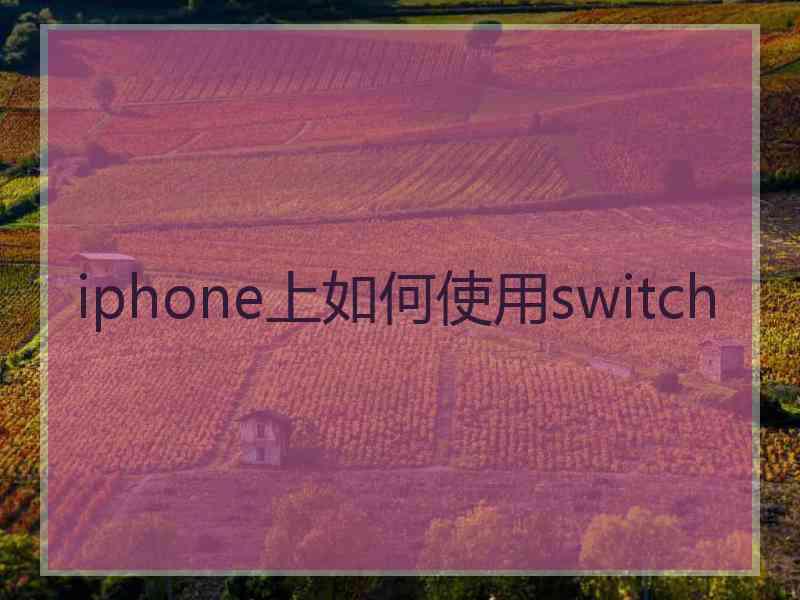 iphone上如何使用switch