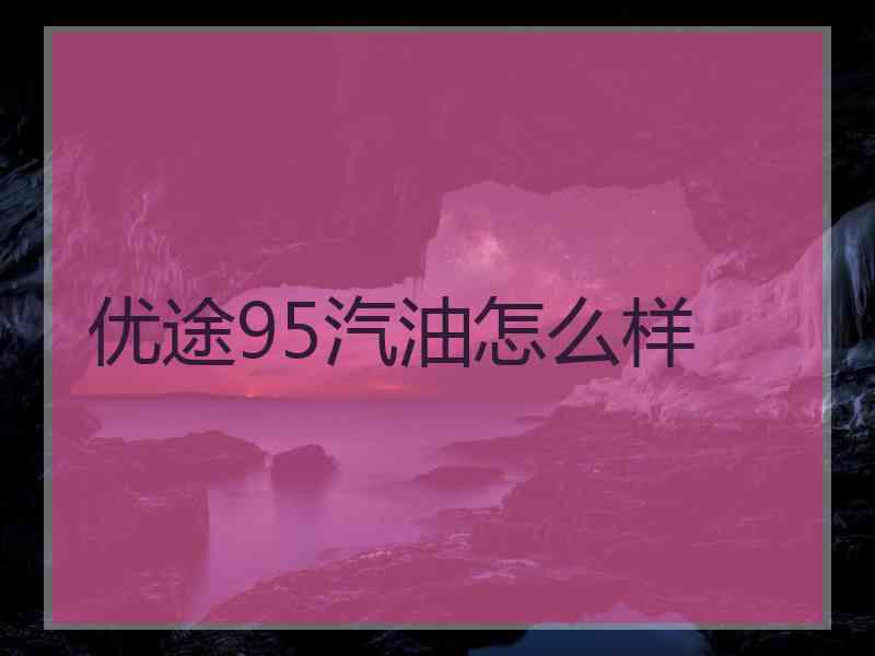 优途95汽油怎么样