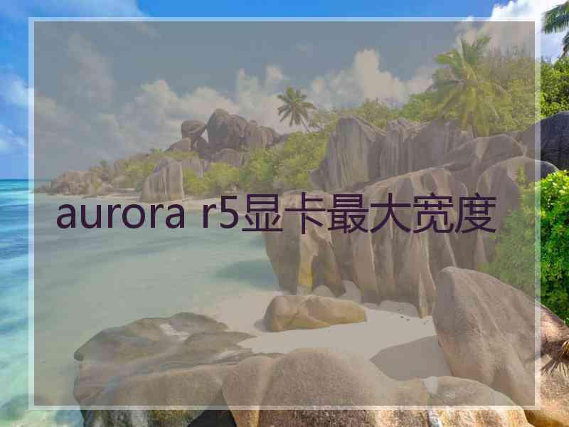 aurora r5显卡最大宽度