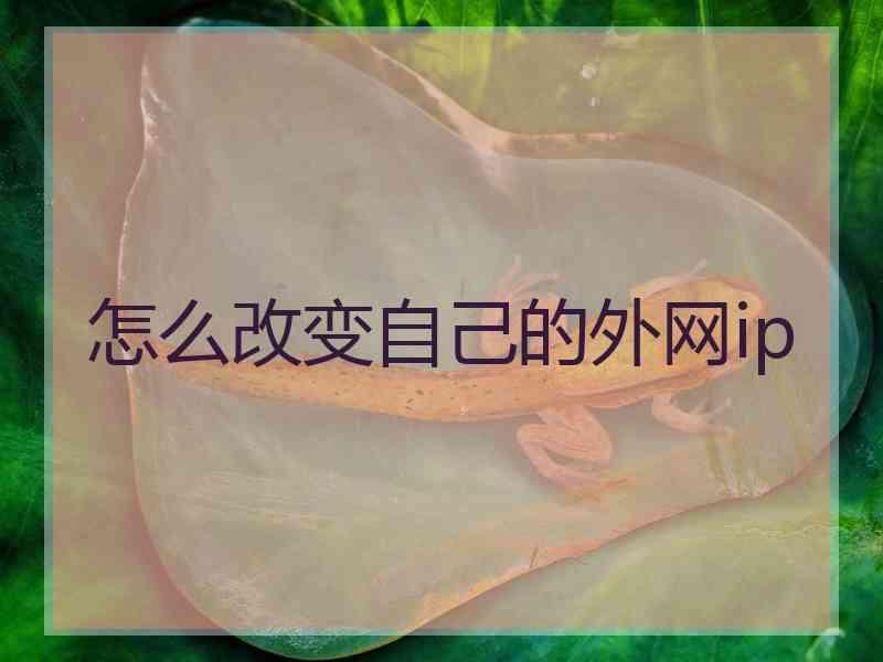 怎么改变自己的外网ip