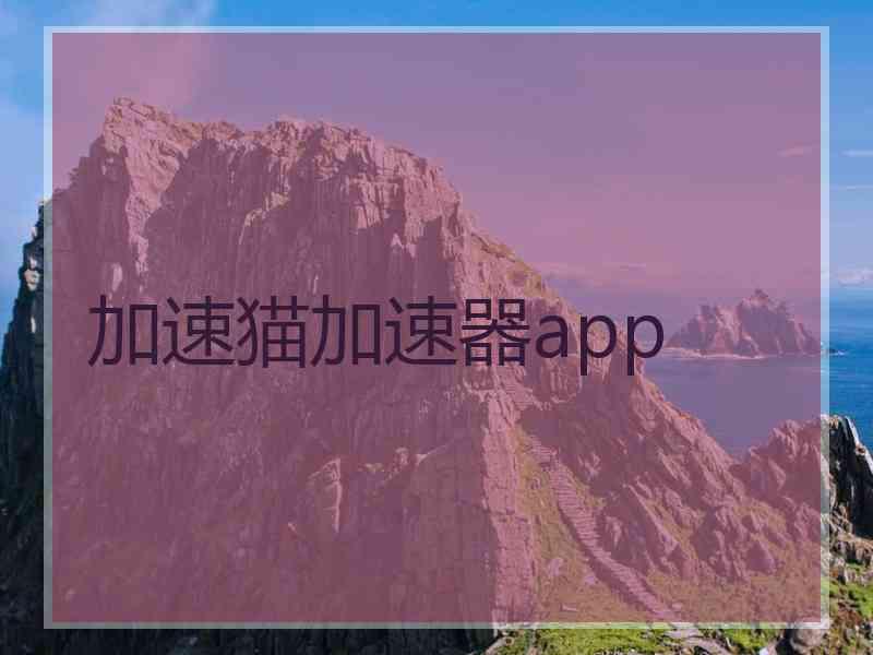 加速猫加速器app