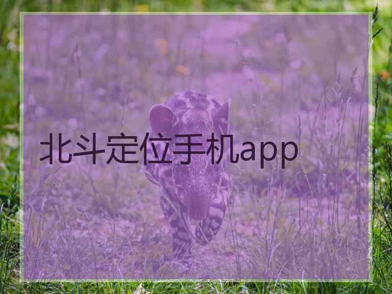 北斗定位手机app