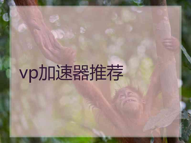 vp加速器推荐