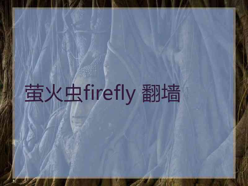 萤火虫firefly 翻墙