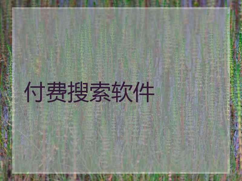 付费搜索软件