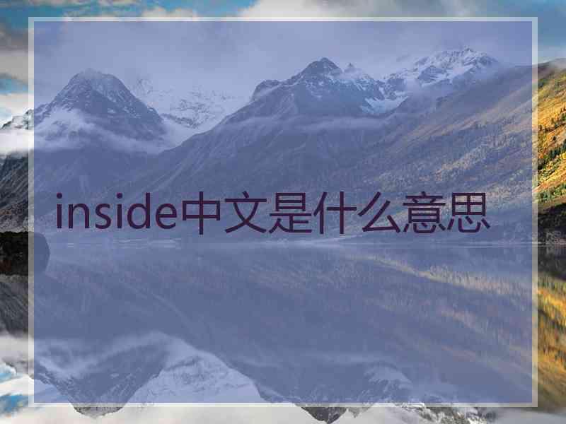 inside中文是什么意思