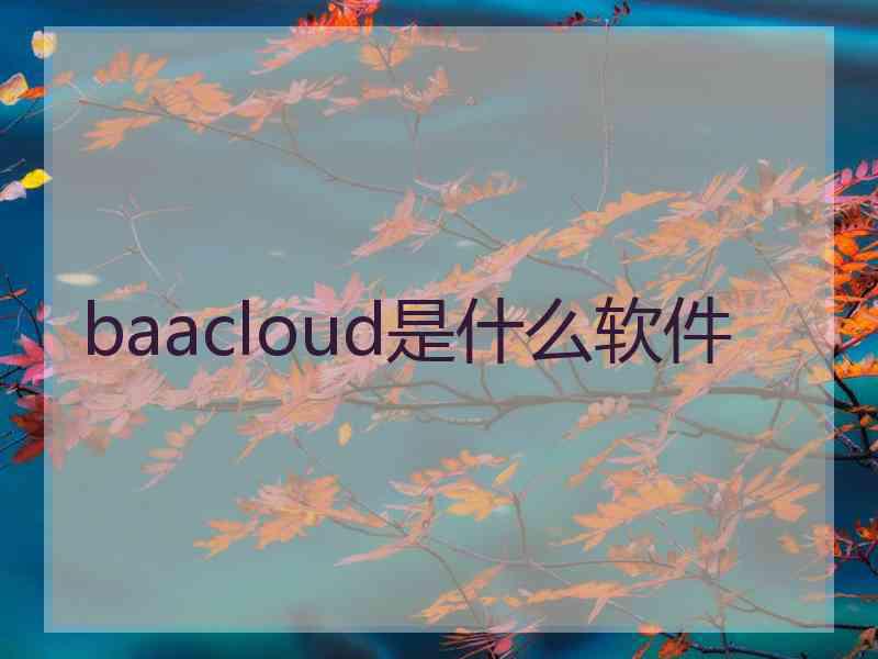 baacloud是什么软件