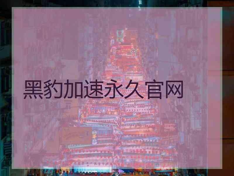 黑豹加速永久官网