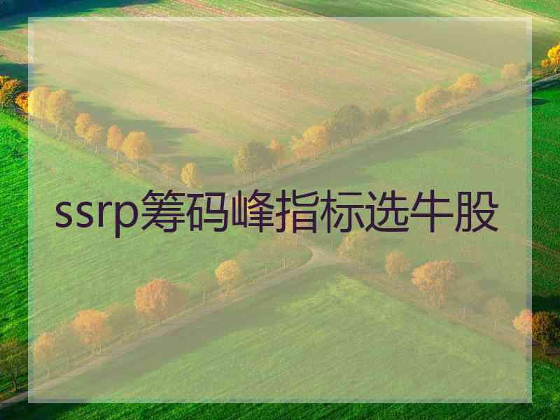 ssrp筹码峰指标选牛股