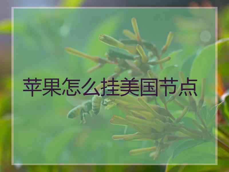 苹果怎么挂美国节点