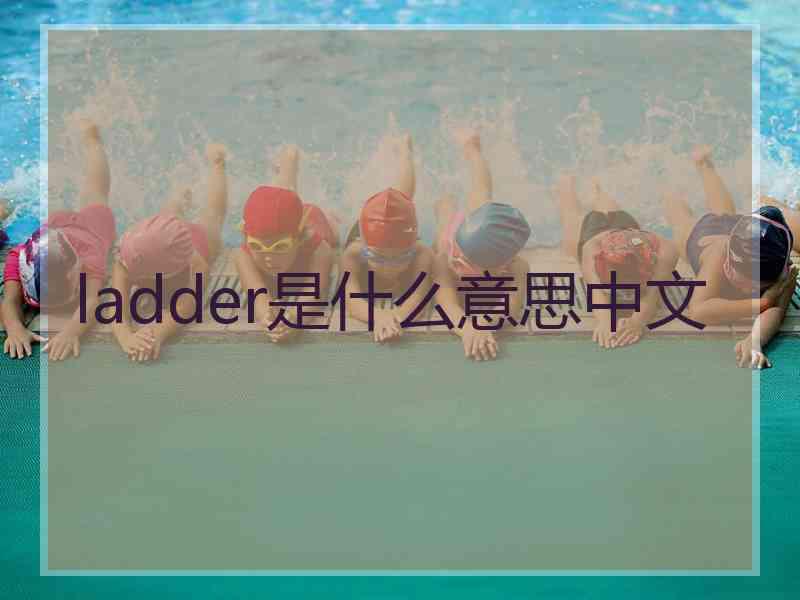 ladder是什么意思中文