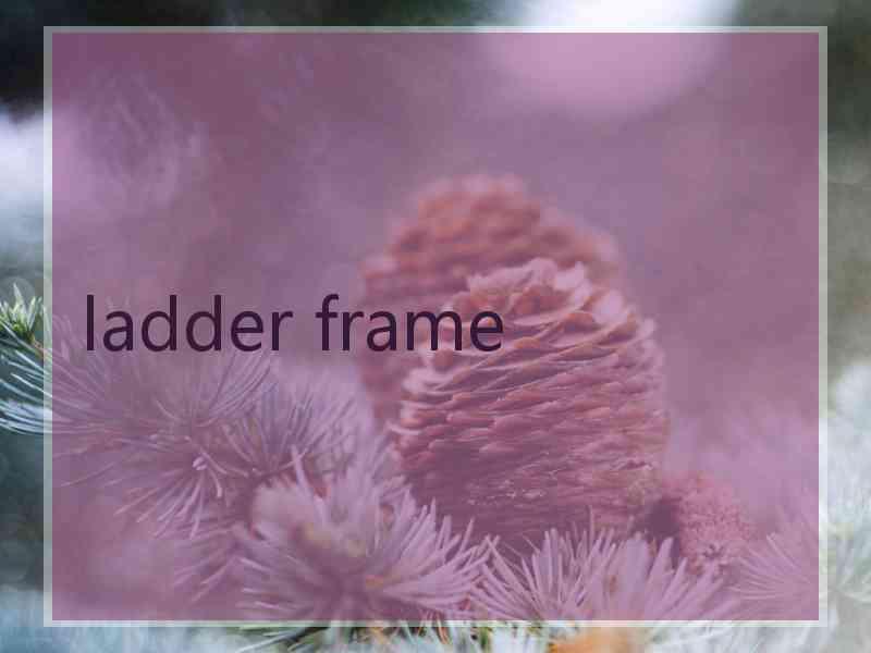 ladder frame