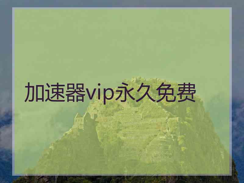 加速器vip永久免费