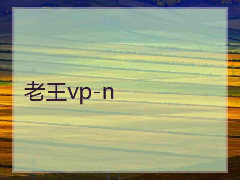 老王vp-n