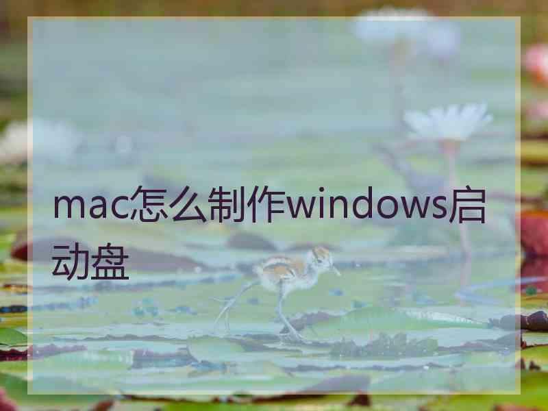 mac怎么制作windows启动盘