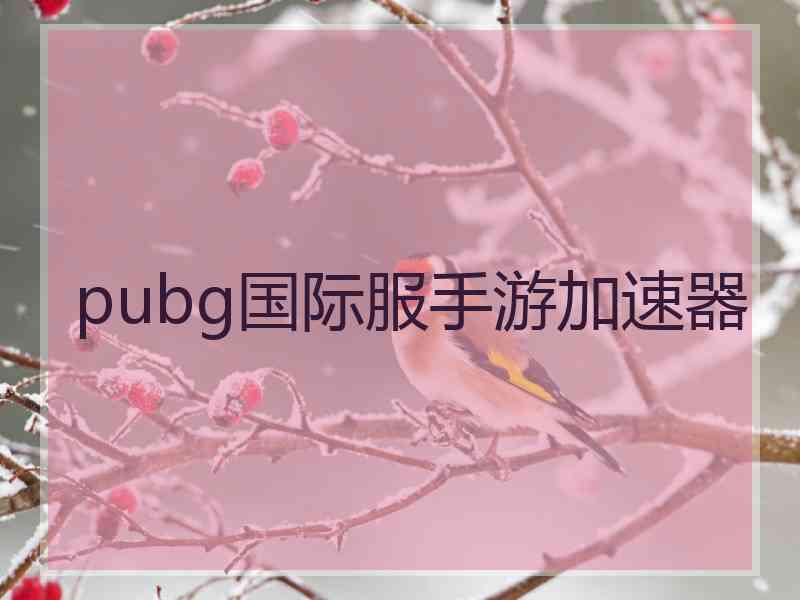 pubg国际服手游加速器