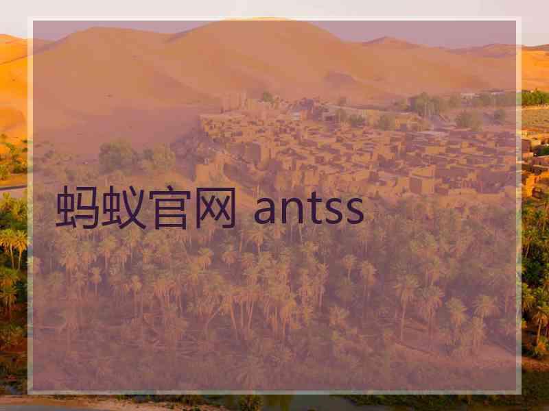 蚂蚁官网 antss