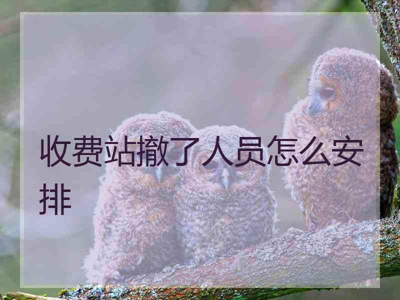 收费站撤了人员怎么安排