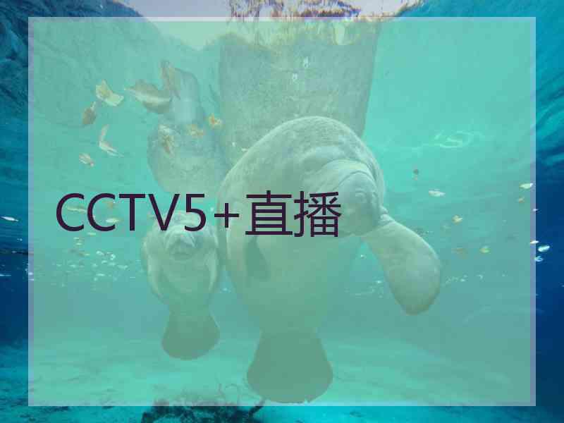 CCTV5+直播