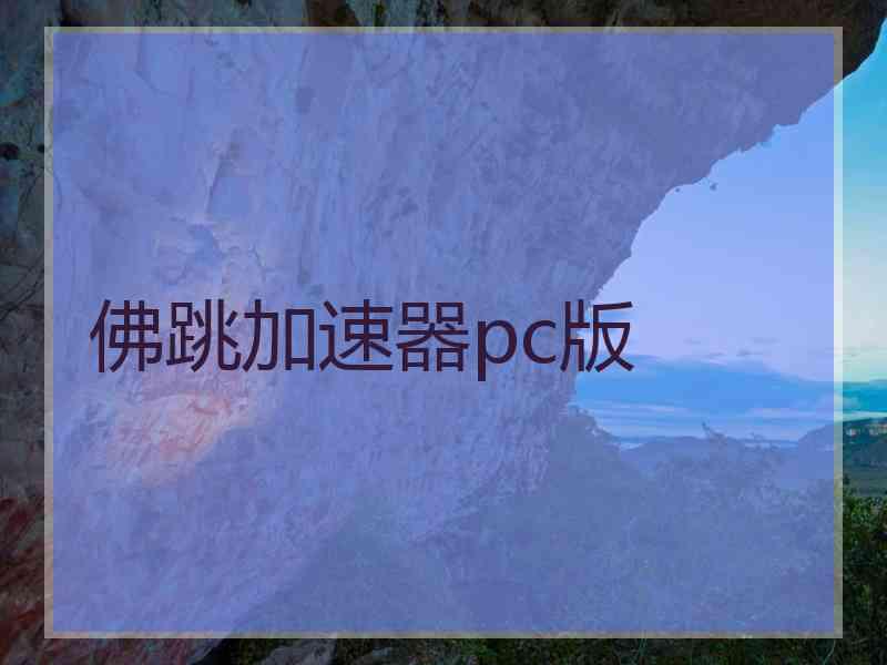 佛跳加速器pc版