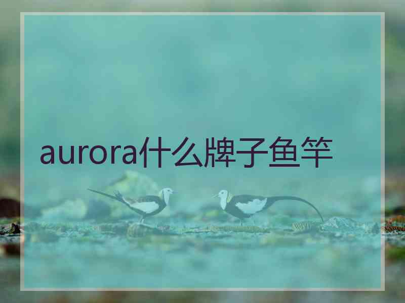 aurora什么牌子鱼竿