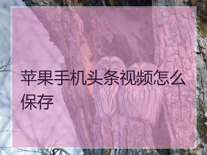 苹果手机头条视频怎么保存