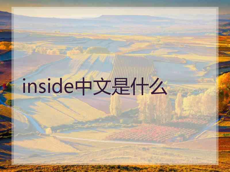 inside中文是什么