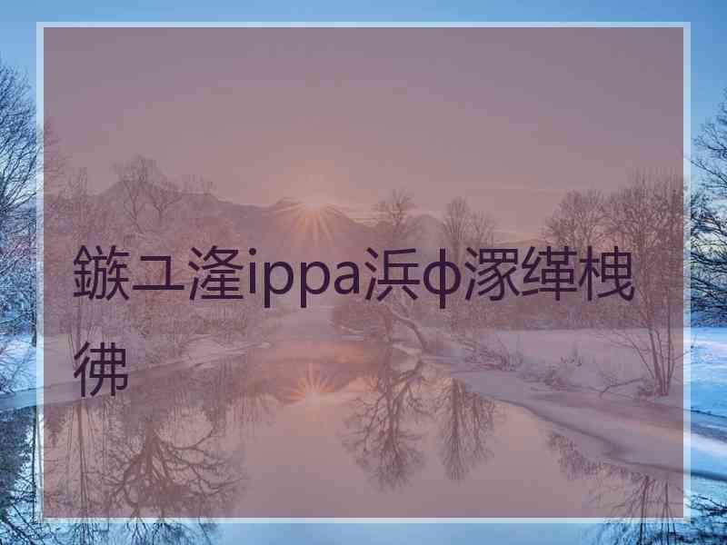 鏃ユ湰ippa浜ф潈缂栧彿