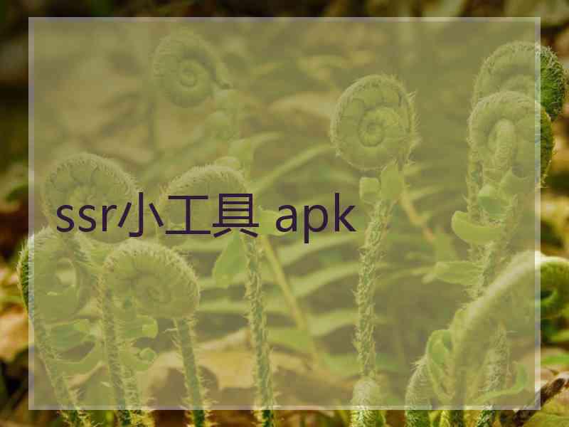 ssr小工具 apk