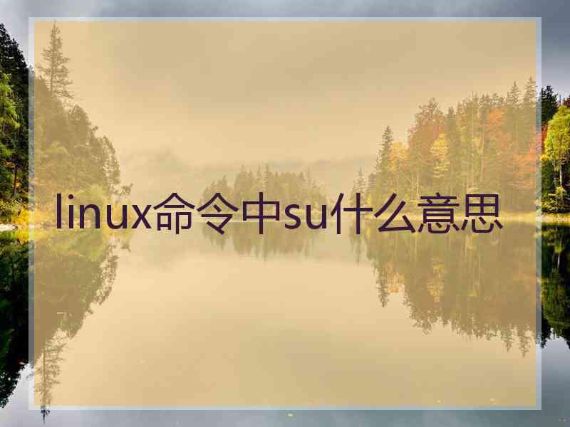 linux命令中su什么意思