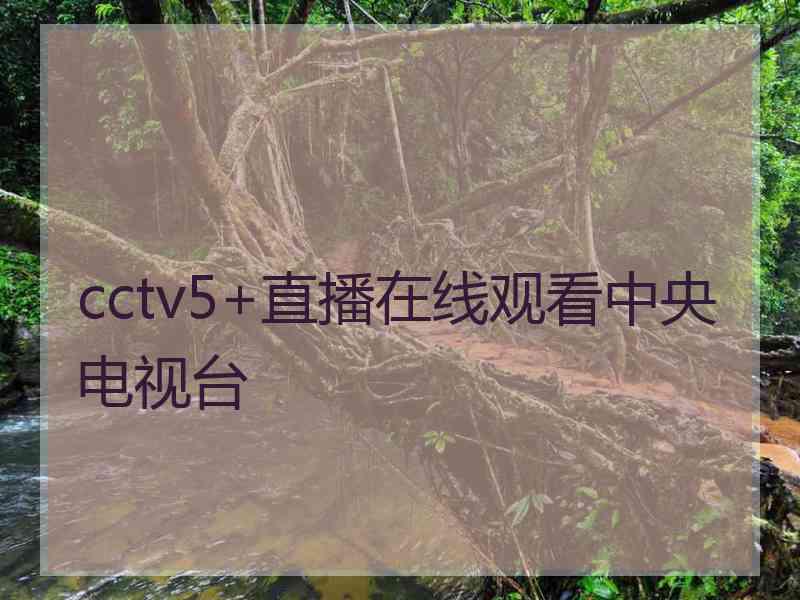 cctv5+直播在线观看中央电视台