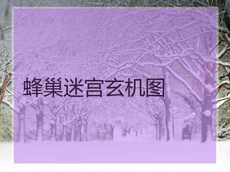 蜂巢迷宫玄机图