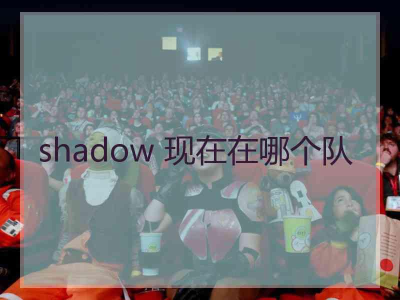 shadow 现在在哪个队