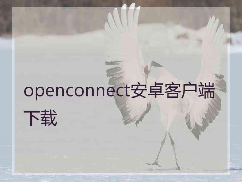 openconnect安卓客户端下载