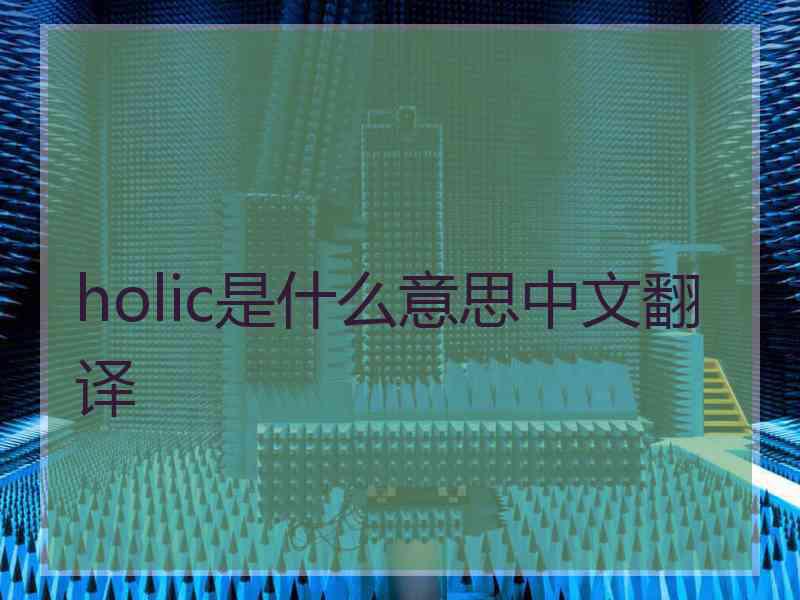 holic是什么意思中文翻译