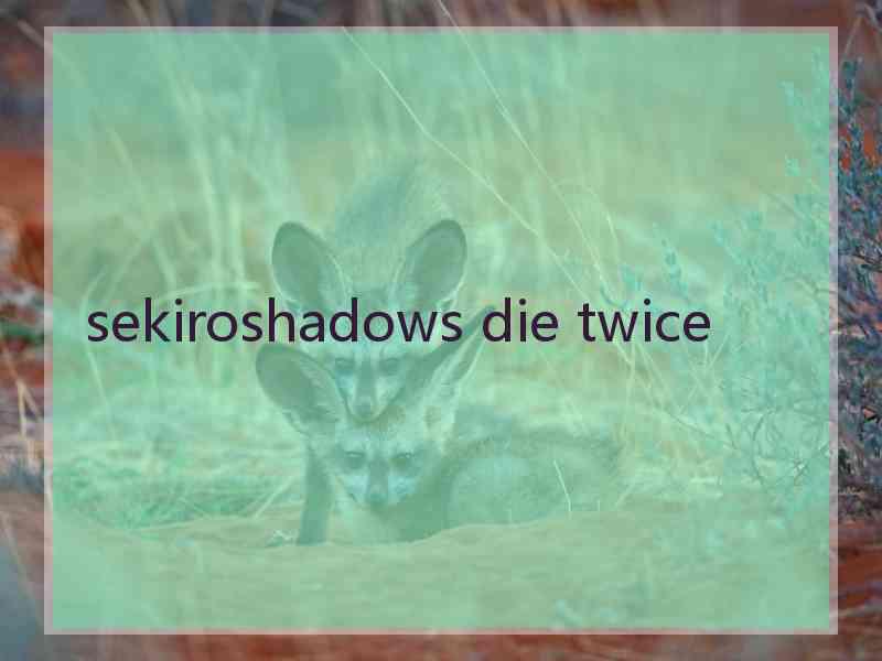 sekiroshadows die twice