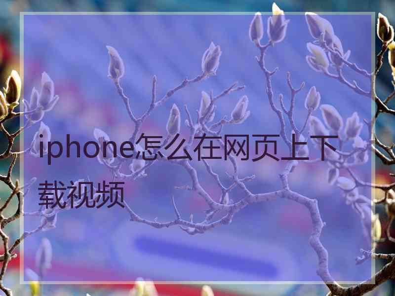 iphone怎么在网页上下载视频