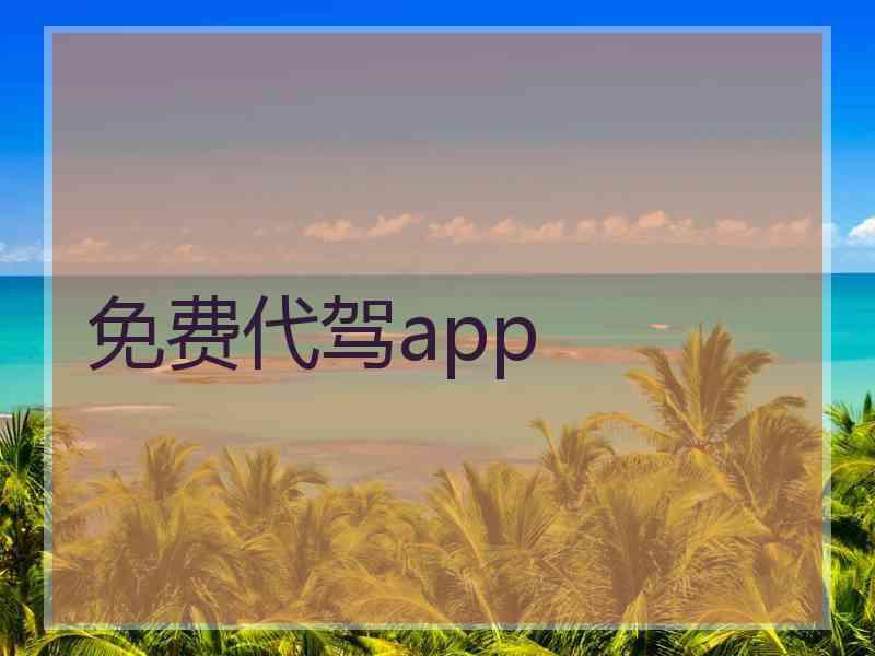 免费代驾app