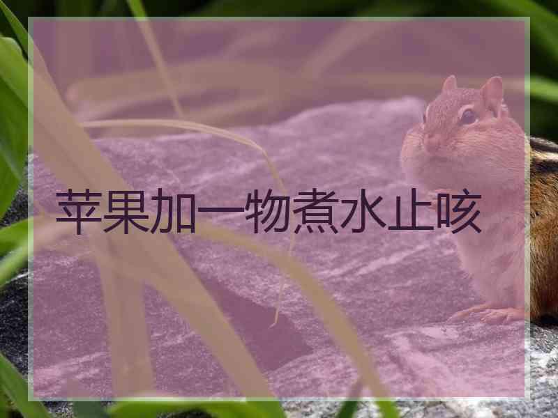 苹果加一物煮水止咳