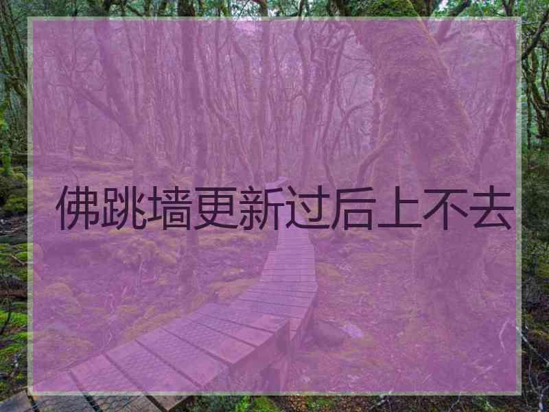 佛跳墙更新过后上不去