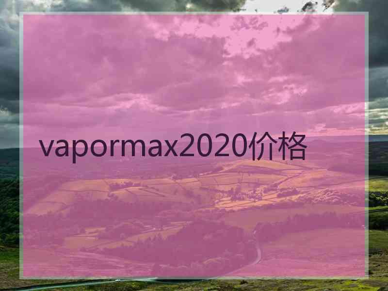 vapormax2020价格