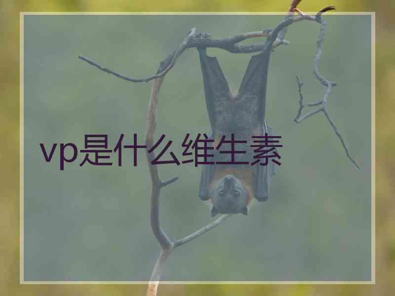 vp是什么维生素