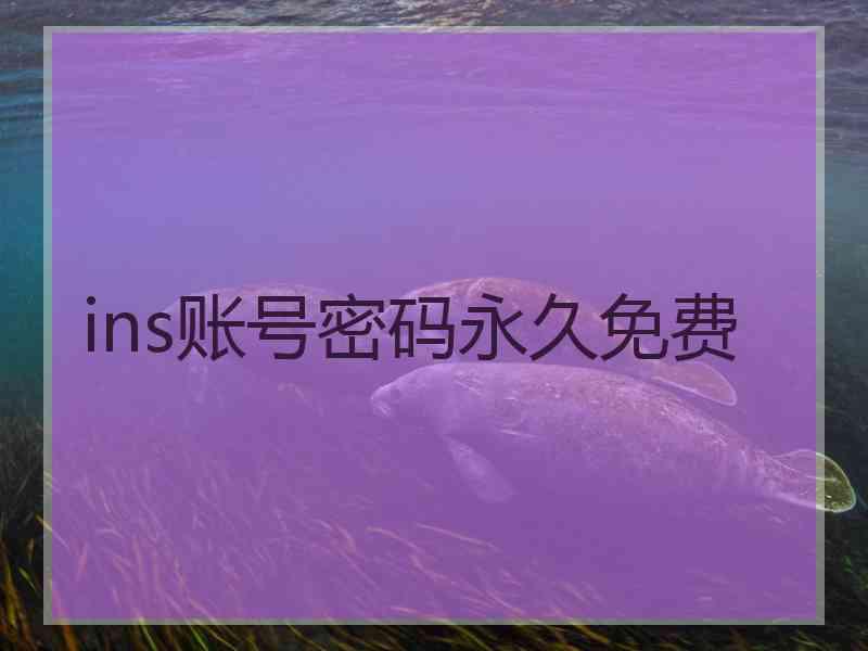 ins账号密码永久免费