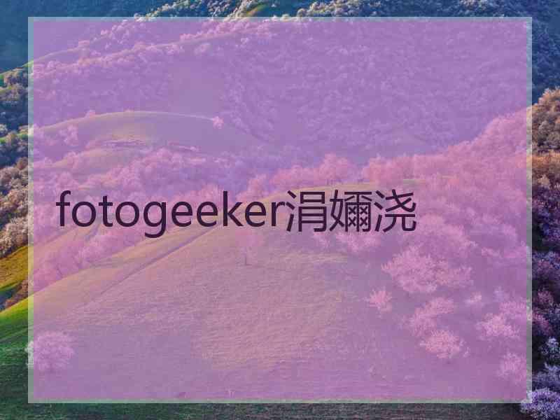 fotogeeker涓嬭浇