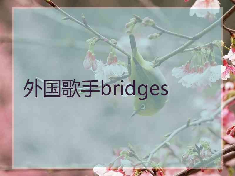 外国歌手bridges